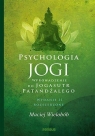 Psychologia jogi. Wprowadzenie do Jogasutr Patańdźalego (wyd. 2022) Wielobób Maciej