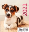 Kalendarz 2021 biurkowy mini Pieski HELMA