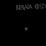 Brygada Kryzys (na 40-lecie) LP Brygada Kryzys