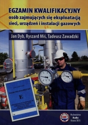 Egzamin kwalifikacyjny - Miś Ryszard, Zawadzki Tadeusz, Dyb Jan