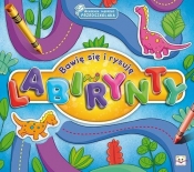 Akademia mądrego przedszkolaka Bawię się i rysuję labirynty