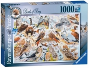 Puzzle 1000: Ptaki drapieżne (195596)