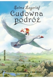 Cudowna podróż - Adam Zabokrzycki