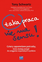 Taka praca nie ma sensu - Tony Schwartz