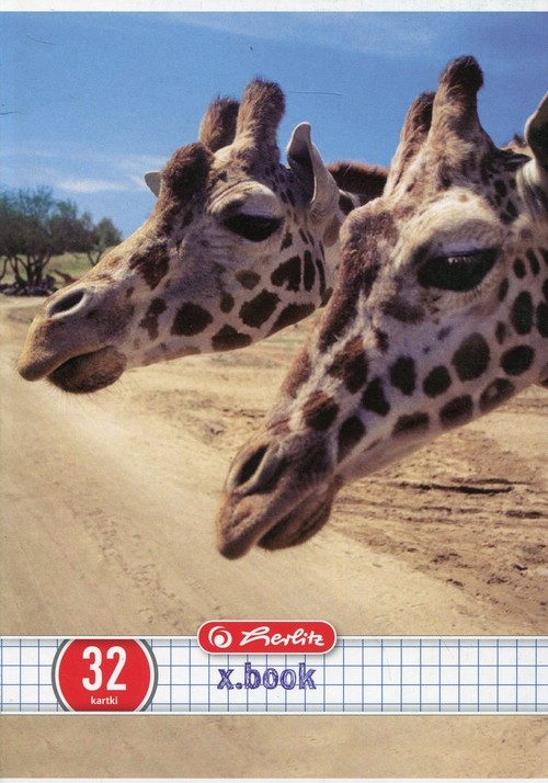 Zeszyt A5 x.book w kratkę 32 kartki Animals