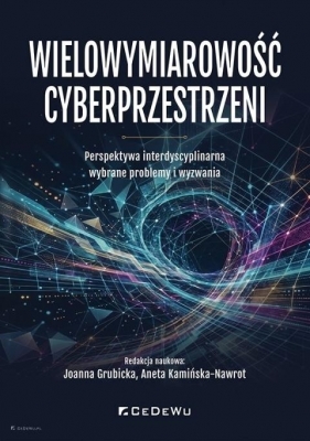 Wielowymiarowość cyberprzestrzeni - Joanna Grubicka, Aneta Kamińska-Nawrot