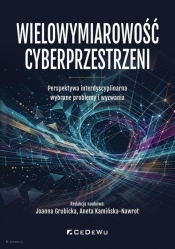 Wielowymiarowość cyberprzestrzeni - Joanna Grubicka, Aneta Kamińska-Nawrot