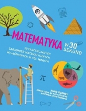 Matematyka w 30 sekund - Anne Rooney