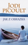 Jak z obrazka  Jodi Picoult