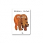 Miś patrzy - Eric Carle, Bill Martin Jr.