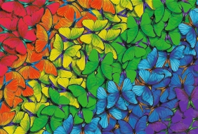 Trefl, Puzzle drewniane 500+1: Tęczowe motyle (20159)