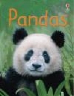 Pandas James MacLaine