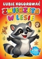 Zwierzęta w lesie. Lubię kolorować - Opracowanie zbiorowe