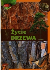 Życie drzewa