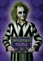 Beetlejuice. Kolekcja 2 filmów (2 DVD)
