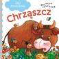 Chrząszcz - Agata Nowak, Jan Brzechwa