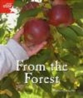 Fantastic Forest Red Level Non-Fiction: From the Forest