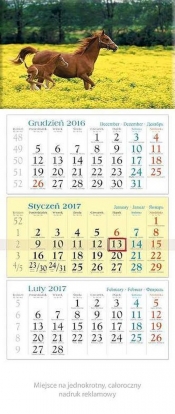 Kalendarz trójdzielny 2017 Źrebak
