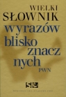 Wielki słownik wyrazów bliskoznacznych PWN + CD