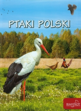 Ptaki Polski - Zarych Elżbieta