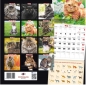 Kalendarz 2021 Duży koty