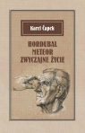 Hordubal Meteor. Zwyczajne życie Karel Čapek