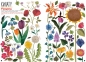 Tak wiele rzeczy So Many Things - Maya Hanisch