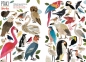Tak wiele rzeczy So Many Things - Maya Hanisch