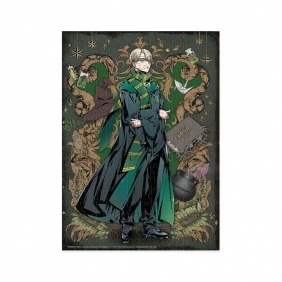 Puzzle, Harry Potter - Draco Malfoy, 250 el.