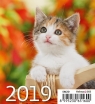 Kalendarz 2019 Biurkowy Mini Kotki HELMA