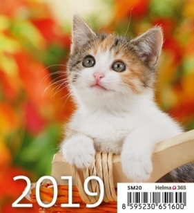 Kalendarz 2019 Biurkowy Mini Kotki HELMA