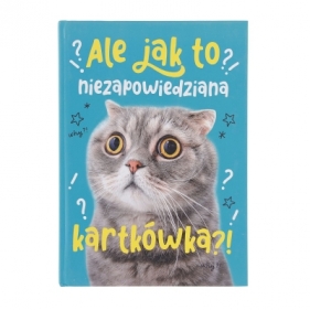 Brulion Pan Dragon Ale jak to A5 96k. krata