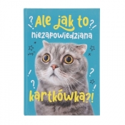 Brulion Pan Dragon Ale jak to A5 96k. krata