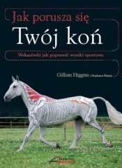 Jak porusza się Twój koń - Gillian Higgins, Stephanie Martin