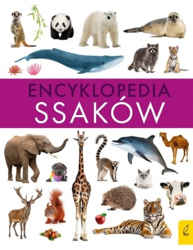 Encyklopedia ssaków - Paweł Zalewski