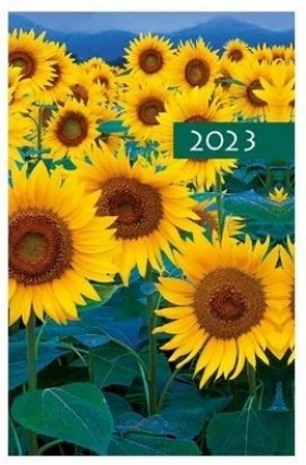 Terminarz 2023 B7 Kolorowy kwiaty