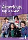 Am English in Mind 3 WB