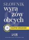 Dużym drukiem Słownik wyrazów obcych z płytą CD  Wiśniakowska Lidia