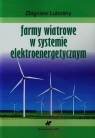 Farmy wiatrowe w systemie elektroenergetycznym  Lubośny Zbigniew