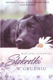 Stokrotki w grudniu - Marianna Olszewska