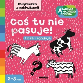 Coś tu nie pasuje! Liczę i zgaduję - Boboryk Anna