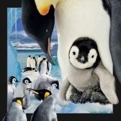 Pocztówka 3D Pingwin