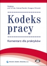 Kodeks prac. Komentarz dla praktyków PPK899