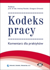 Kodeks prac. Komentarz dla praktyków - <br />