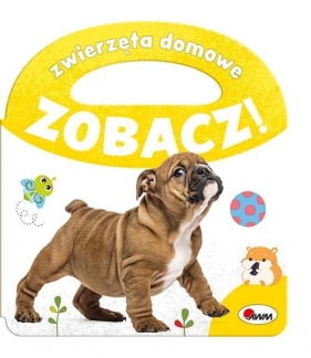 Zobacz zwierzęta domowe