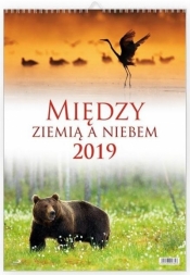 Kalendarz 2019 Między ziemią a niebem