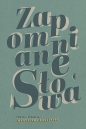 Zapomniane słowa. - Magdalena Budzińska