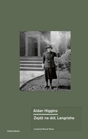Zejdź na dół, Langrishe - Aidan Higgins