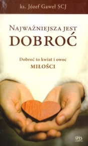 Najważniejsza jest dobroć - Józef Gaweł