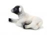 Owieczka czarnogłówka leżąca ANIMAL PLANET (F7060)